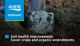 Soil health improvement – Cover crops and organic amendments
